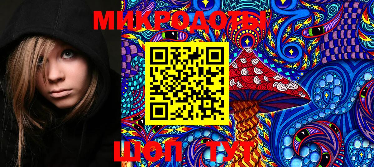 Белогорск  Псилоцибиновые грибы Psilocybine cubensis  Вход с VPN 